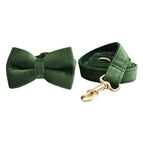 Dog Circle Dog Rope Bow1 / XS