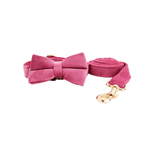 Dog pen dog rope3 / XS