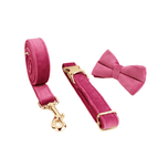 Dog Circle Dog Rope Bow3 / XS