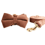 Dog Circle Dog Rope Bow4 / XS