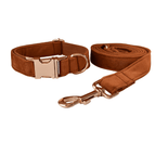 Dog pen dog rope5 / XS