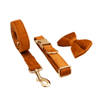 Dog Circle Dog Rope Bow5 / XS