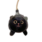 Black Tail Shaking Cat