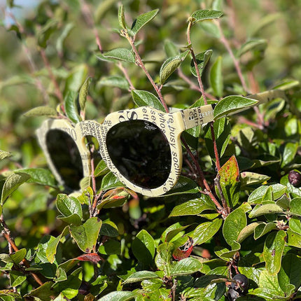 ReVision Round - Eco-Friendly Recyclable Paper Sunglasses