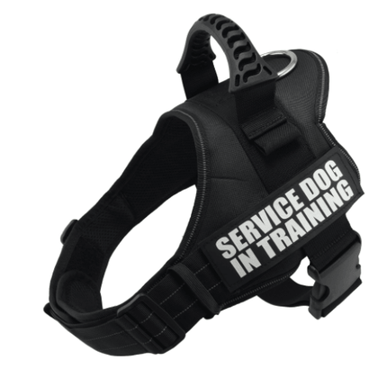 Explosafe Pet Leash: The Ultimate Safety Harness For Your Furry Friend