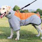 Grey orange / XL