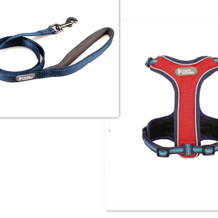 Adventure Paws Dog Harness And Leash Set