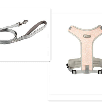 Adventure Paws Dog Harness And Leash Set