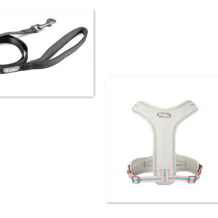 Adventure Paws Dog Harness And Leash Set