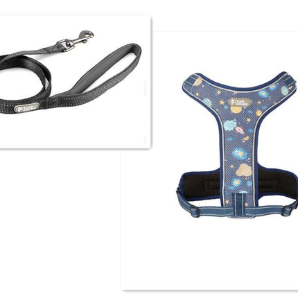 Adventure Paws Dog Harness And Leash Set