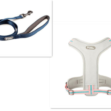 Adventure Paws Dog Harness And Leash Set