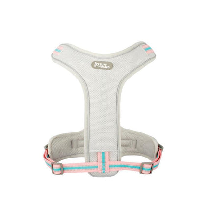 Adventure Paws Dog Harness And Leash Set