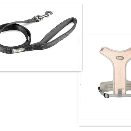 Adventure Paws Dog Harness And Leash Set