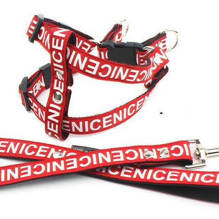 Adventure Paws Nylon Pet Leash And Collar Set