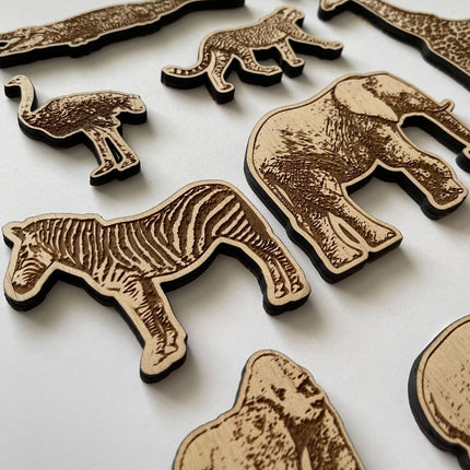 Animals4