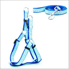 Blue Large 2.0Cm