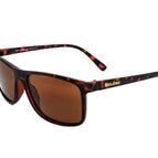 Brown / Brown / Polarized