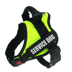 Fluorescent Green / Xs