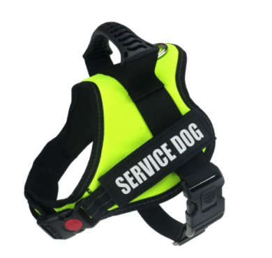Explosafe Pet Leash: The Ultimate Safety Harness For Your Furry Friend