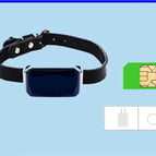 Sapphire Leather Collar Flow C / Usb