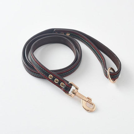 Ultimate Pet Walking Set: Stylish Pu Leash And Collar Combo