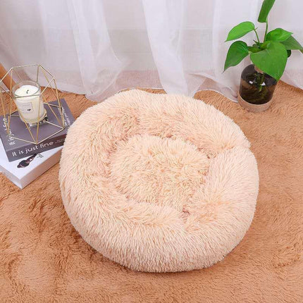 Cozypaws Pet Haven