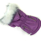 Purple / Xs