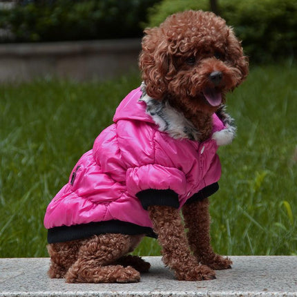 Cozyzip Cotton Padded Pet Clothes: The Ultimate Comfort For Your Furry Friend