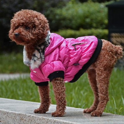 Cozyzip Cotton Padded Pet Clothes: The Ultimate Comfort For Your Furry Friend