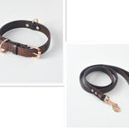 Coffee / Collar And Leash / 120X2Cm And 48X2Cm