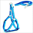 B Blue