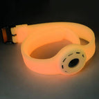 Luminous Powder