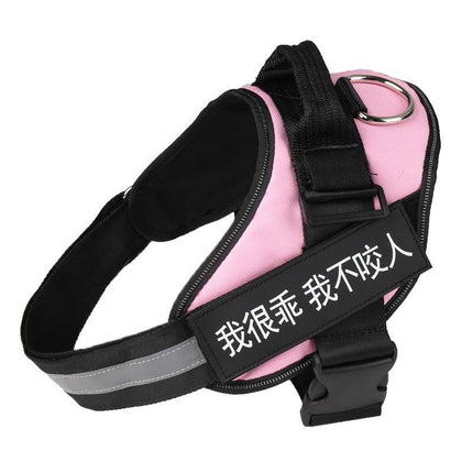 Ultimate Pet Adventure Set: Adjustable Chest Harness With Dog Leash