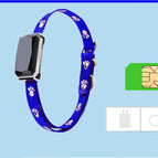 Sapphire Blue Collar Flow Card / Usb