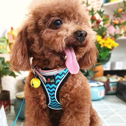 Reflective Stroke Prevention Pet Harness With Leash