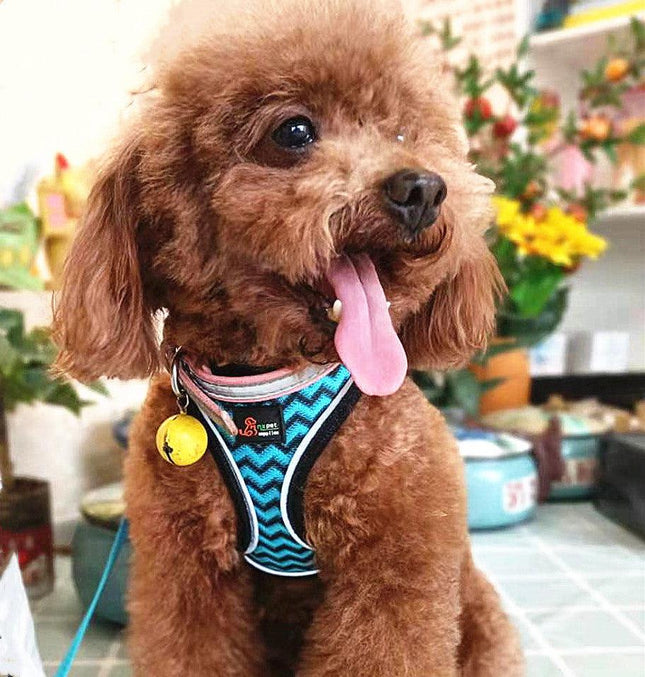 Reflective Stroke Prevention Pet Harness With Leash