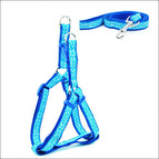 A Blue
