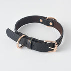 Black / Leash / 120X2Cm