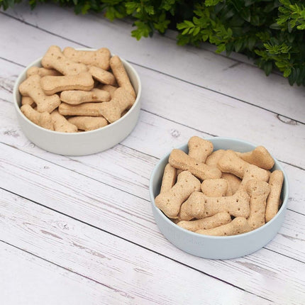 pet bowls